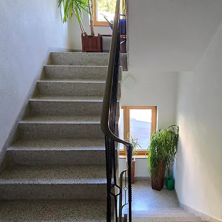 Haus Wiesenruh - Amazing Views & Setting Daire