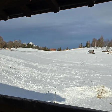 アパート Haus Wiesenruh - Amazing Views & Setting