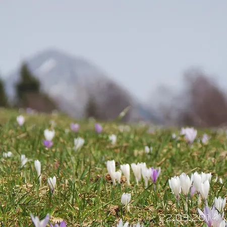 Haus Wiesenruh - Amazing Views & Setting *